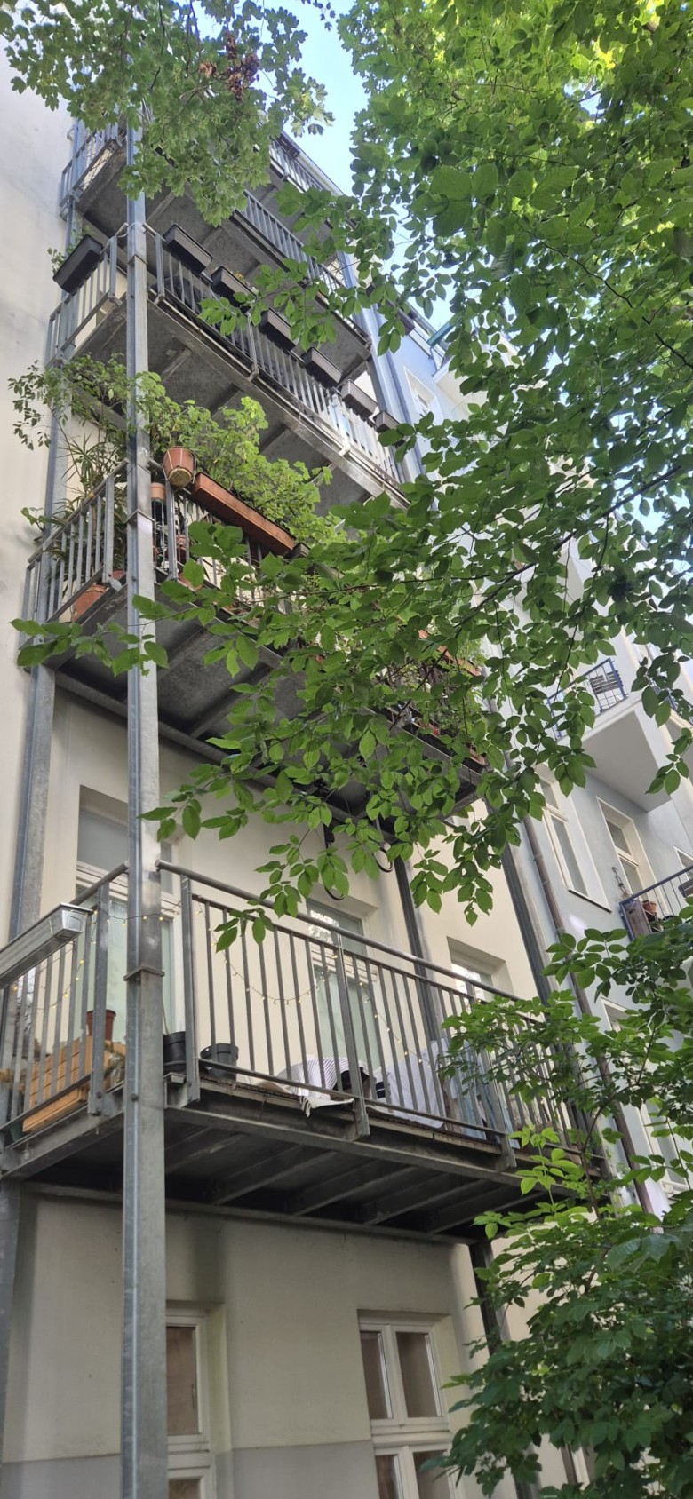 gepflegte kleine Altbauwohnung mit großem Westbalkon – frei beziehbar –