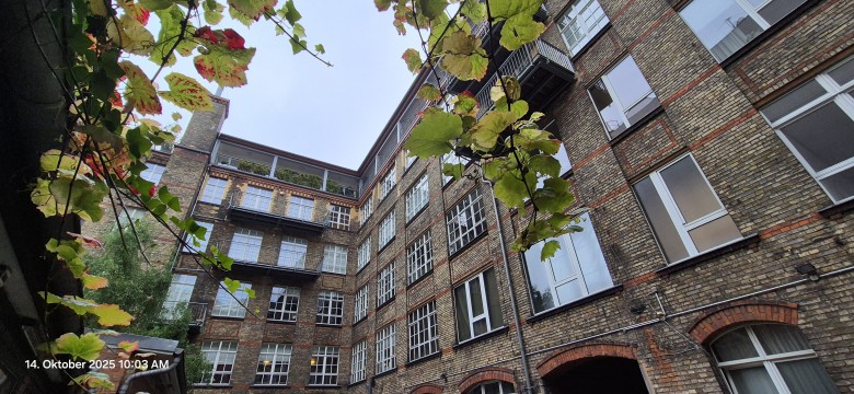 Wrangelkiez Kappendecken Loft beste Kiezlage ruhig vermietet oder asap leer Wohnen und Arbeiten